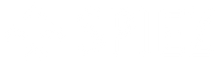 SPIEZ LOGO 1